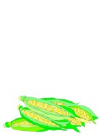 CORN.CGM