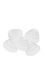 CLAMS.CGM