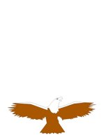 EAGLE1.CGM