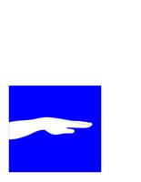 WRIST.CGM