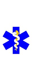 MEDALERT.CGM