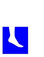 ANKLE.CGM