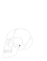 SKULSIDE.CGM