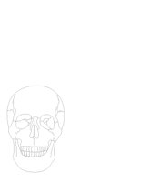 SKULFRNT.CGM