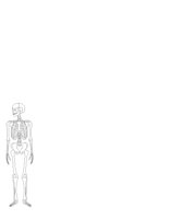 SKELETON.CGM