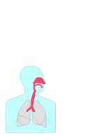 RESPSYS.CGM