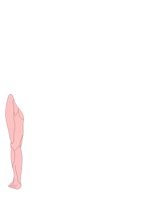 LEGFRNT.CGM