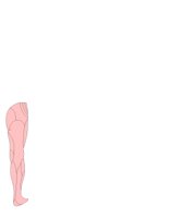 LEGBACK.CGM