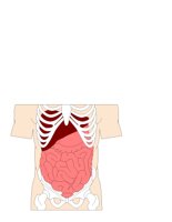 INTERNAL.CGM