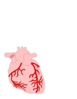 HEART1.CGM