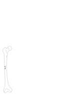GREENSTK.CGM