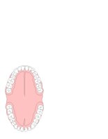 FULMOUTH.CGM