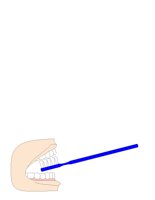 DENTCARE.CGM