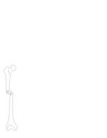 COMINUTD.CGM