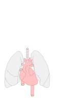 CARDIOVA.CGM