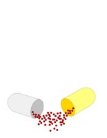 CAPSULE.CGM