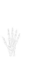 BONEHAND.CGM