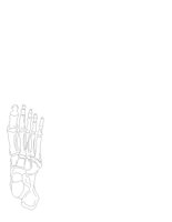 BONEFOOT.CGM
