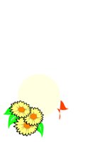 SUNSHINE.CGM