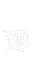 SPIDRWEB.CGM