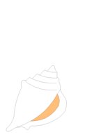 SEASHELL.CGM