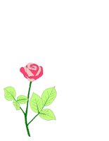 ROSE.CGM