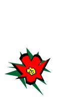 FLOWER3.CGM