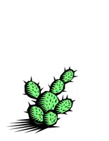 CACTUS1.CGM