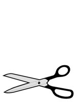 SCISSRS.CGM