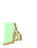 RI3D.CGM