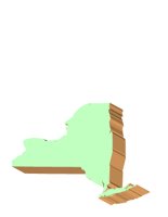 NY3D.CGM