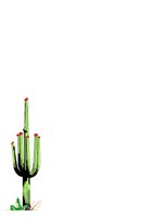CACTUS.CGM