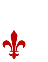 FLEUR.CGM