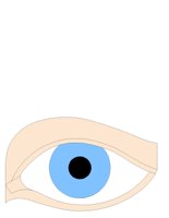 EYE.CGM
