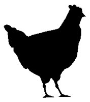 CHICKEN.PCX