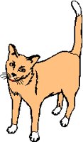 CAT.PCX
