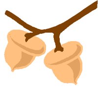 ACORNS.PCX