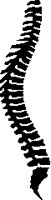 SPINE.PCX