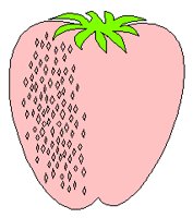 FRUIT9.PCX