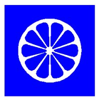 CITRSLIC.PCX