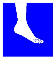 ANKLE.PCX