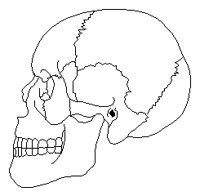 SKULSIDE.PCX