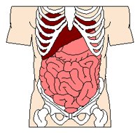 INTERNAL.PCX