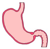GASTROIN.PCX