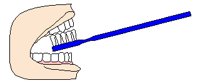DENTCARE.PCX