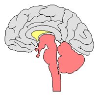 BRAINSDE.PCX