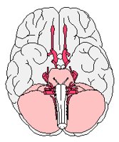 BRAINFUL.PCX