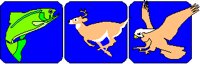 WILDLIFE.PCX