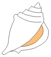 SEASHELL.PCX