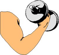 WEIGHTS2.PCX